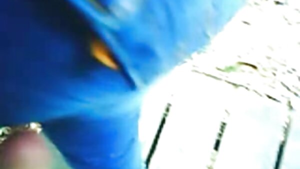 மார்பகப் பொன்னிறமான டோலி பி, கல்லூரிச் சீருடையில் கவர்ச்சியாகக் காட்சியளிக்கிறார்